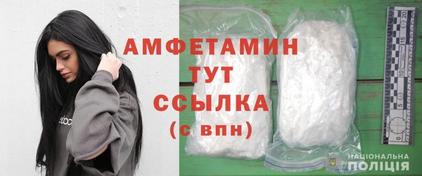 прущие грибы Баксан