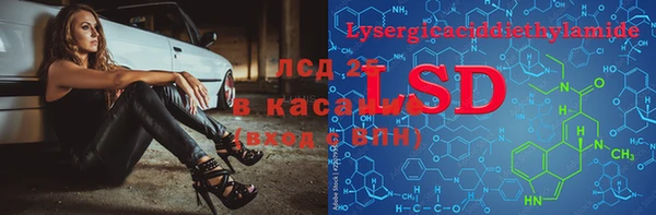 прущие грибы Баксан