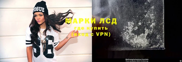 прущие грибы Баксан