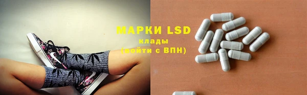 прущие грибы Баксан