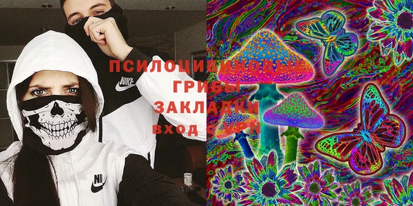 прущие грибы Баксан