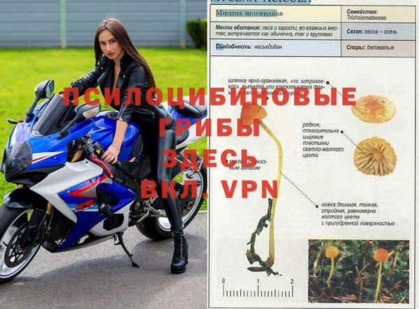 винт Армянск