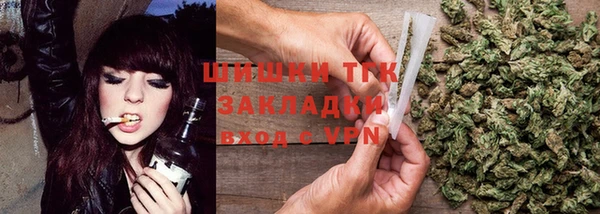 прущие грибы Баксан